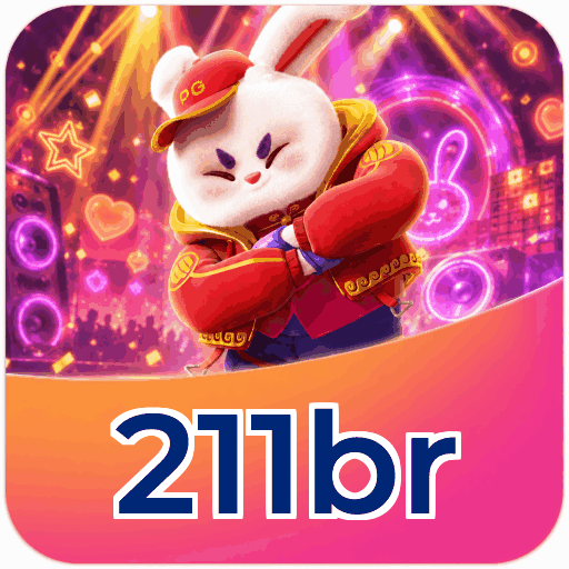 211br